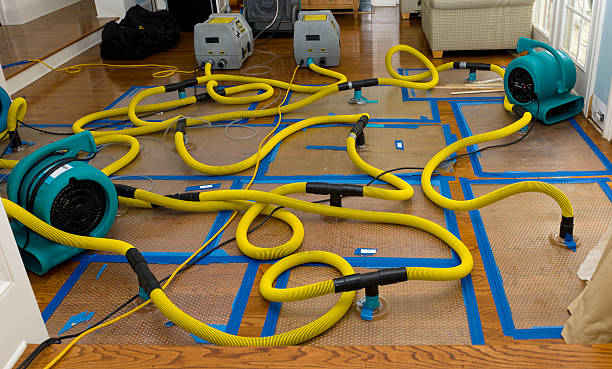 Professional Crawl Space Water Removal technician working in Westmoreland, NH